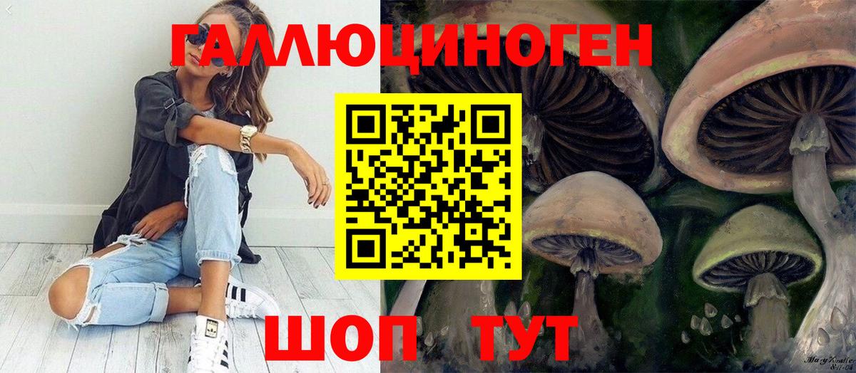 Галлюциногенные грибы Psilocybe  Вход с VPN  Мыски 