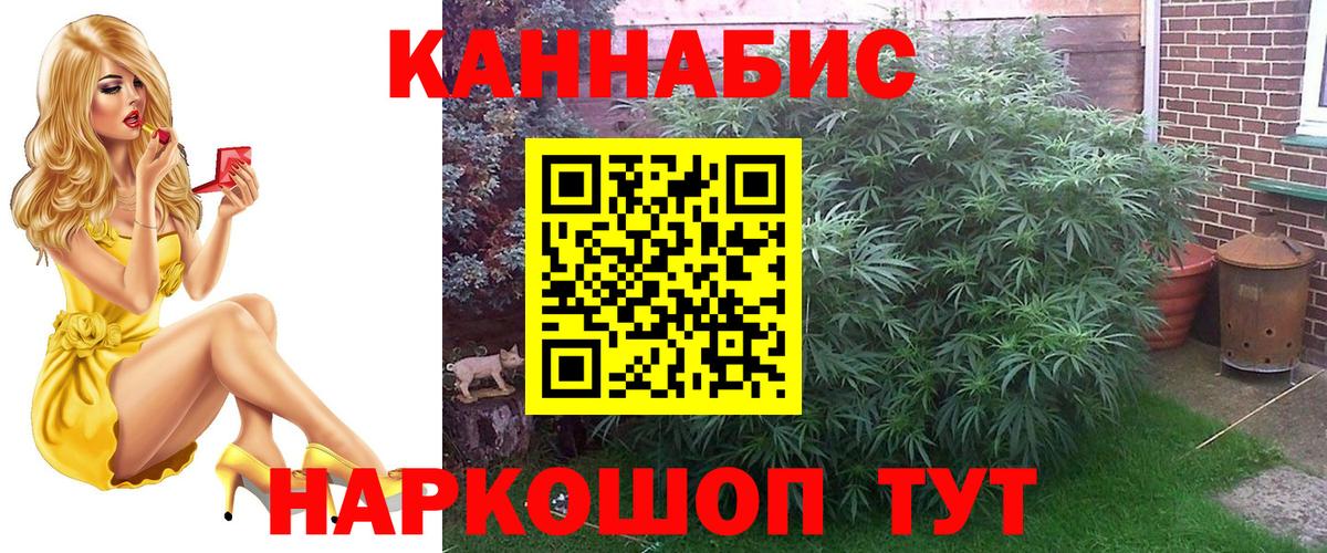 Бошки Шишки семена  Каннабис SATIVA & INDICA  Вход с VPN  Мыски  Конопля индика 